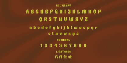 Rastiku Font Poster 10