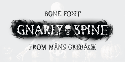 Gnarly Font Poster 1