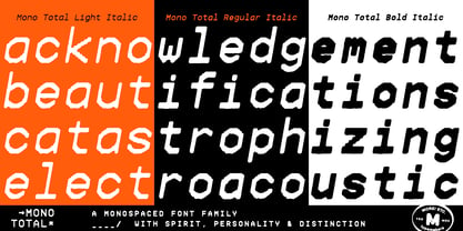 Mono Total Font Poster 7