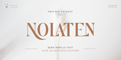 Nolaten Police Affiche 1