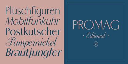 Promag Fonts Duo Fuente Póster 9
