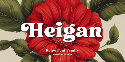 Heigan Font Poster 1