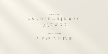 Slightly Font Poster 11