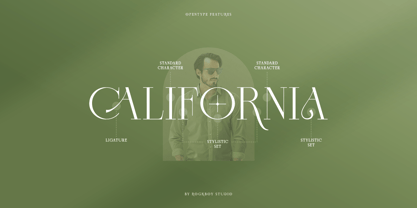 Slightly Font Poster 8