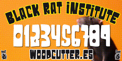 Institut du rat noir Police Poster 6