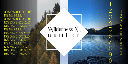 Wilderness X Font Poster 5