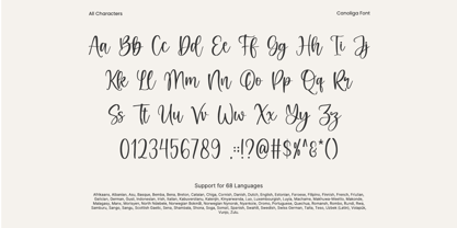 Canoliga Font Poster 9