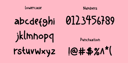 WS Handritn Font Poster 5