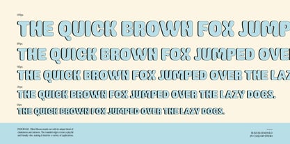 Bliss Bloom Font Poster 4