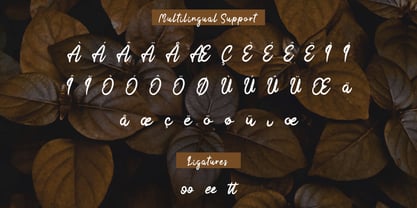 Xantiqoo Font Poster 8