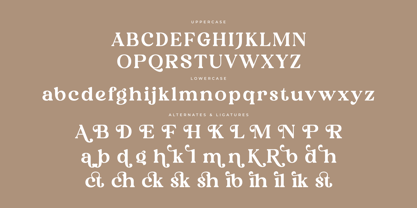 Heibird Font Poster 7