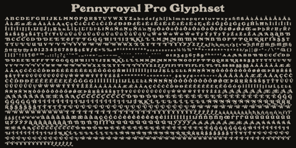 Pennyroyal Pro Font Poster 9