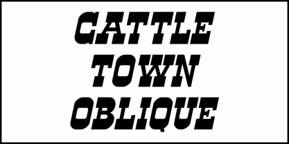 Cattle Town JNL Font Poster 4