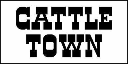Cattle Town JNL Font Poster 2
