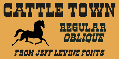 Cattle Town JNL Font Poster 1