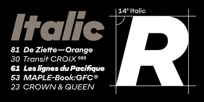 Aligne Font Poster 13