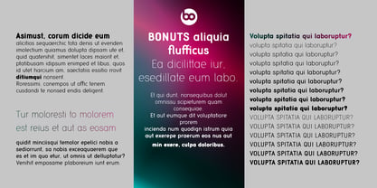 BOnuts Font Poster 7