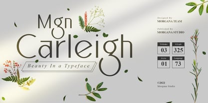MGN Carleigh Font Poster 1