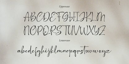 Latifah Cigarillos Font Poster 10