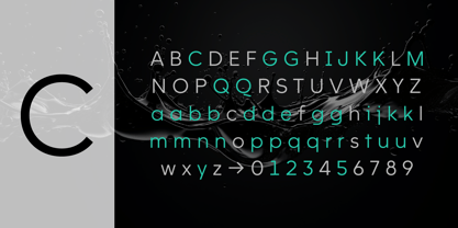 Willgray Font Poster 7