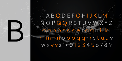Willgray Font Poster 6