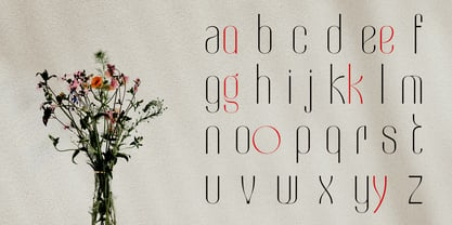 Suorva Font Poster 11
