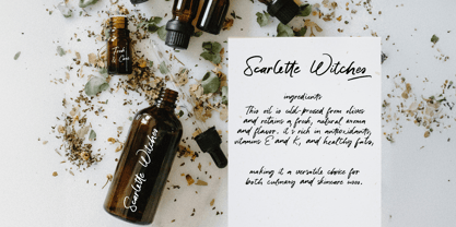 Wotteris Siottin Font Poster 4