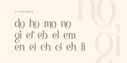 Machera Font Poster 14