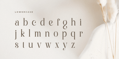 Machera Font Poster 12