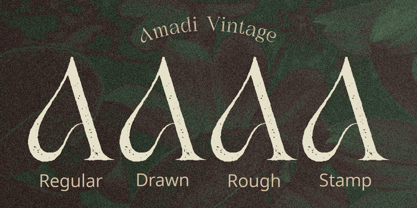 Amadi Font Poster 11