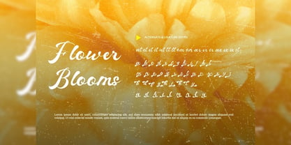 Baylou Font Poster 6