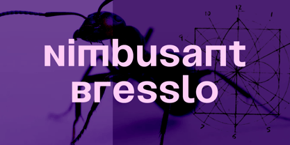 Nimbusant Bresslo Font Poster 2