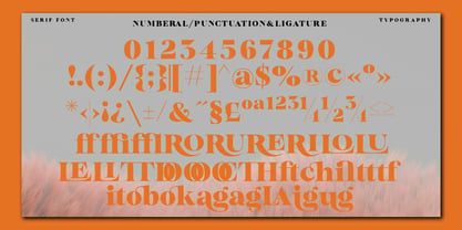 Bailsun Font Poster 8