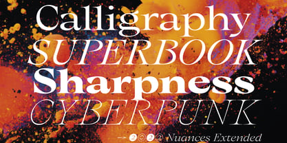 Nuances VF Font Poster 9