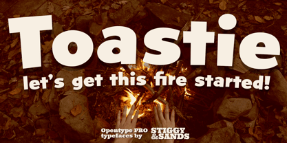 Toastie Font Poster 1