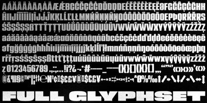 Mega Font Poster 10