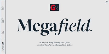 Megafield Font Poster 1