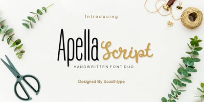 Apella Script Font Poster 1