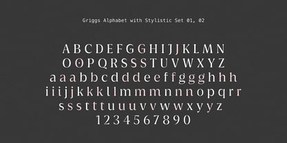 Griggs Font Poster 7
