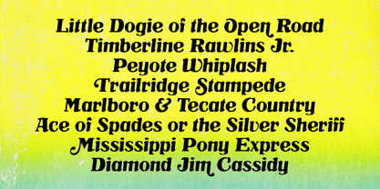 FCF Stetson Swash Font Poster 5