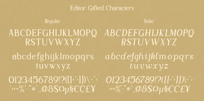 Editor Gifted Font Poster 13