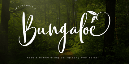 Bungaloe Font Poster 1