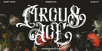 Circus Ace Font Poster 1