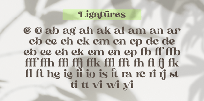 Linamicha Font Poster 9