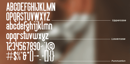 Ralirko Font Poster 11