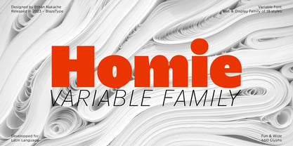 Homie VF Font Poster 1