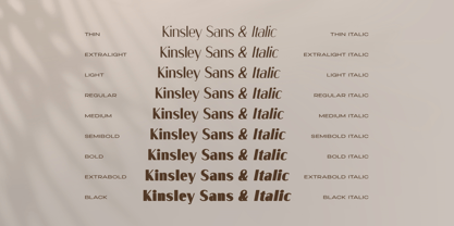Kinsley Sans Police Poster 2