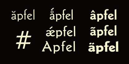 Neue Latein Font Poster 4