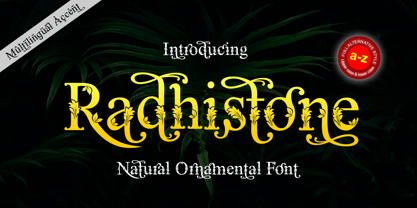 Radhistone Font Poster 1