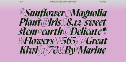 Pahin Font Webfont Desktop MyFonts Pahin Font Webfont Desktop MyFonts